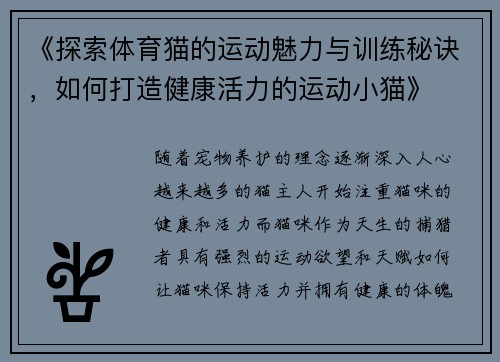 《探索体育猫的运动魅力与训练秘诀，如何打造健康活力的运动小猫》
